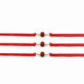 Product image [chatgpt-image-jul-21-2026-01-53-38-pm.png]