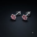 Product image [whatsapp-image-2026-08-03-at-52748-pm.jpeg] [erp-media:doi-2140-6f5e3f7e79fb17a4]