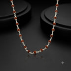 Product image [whatsapp-image-2026-08-07-at-61528-pm.jpeg]
