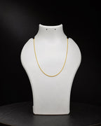 Product image [whatsapp-image-2026-08-14-at-43824-pm.jpeg] [erp-media:doi-2645-021aa60dbace5a68]